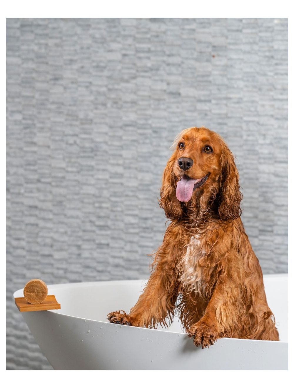 Shampoo Bar Hond – Lange Vacht